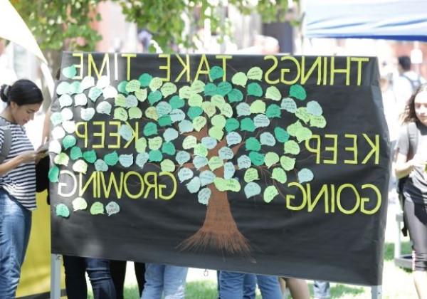 学生创作了一棵树的海报